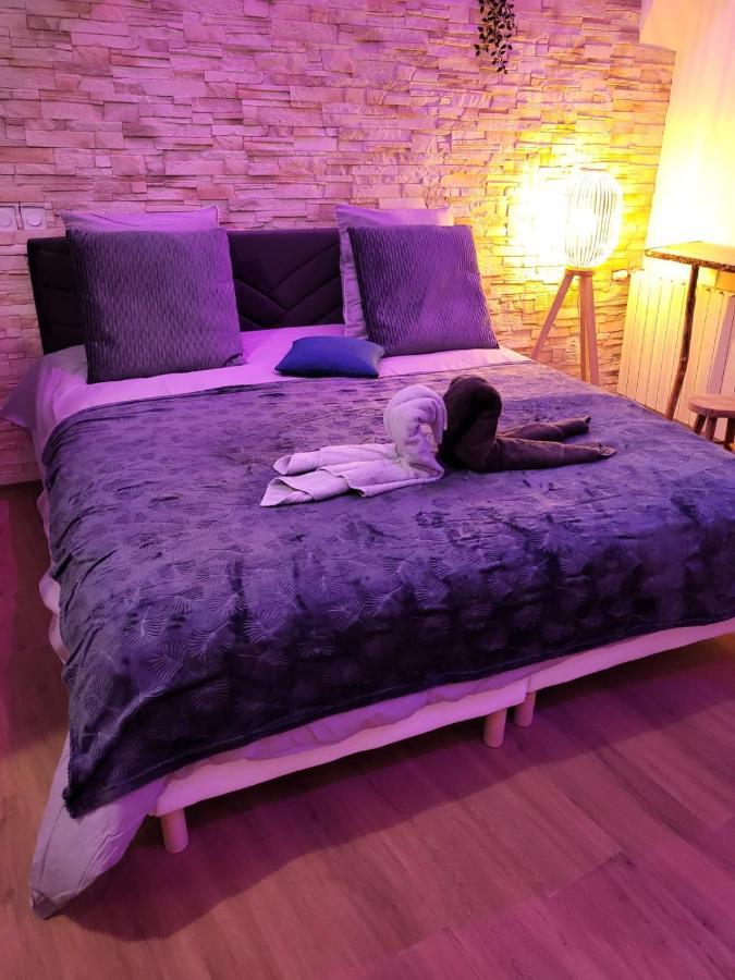 Le Spa De La Cathedrale - Jacuzzi - Sauna - Champagne - Netflix - Wifi Troyes Esterno foto