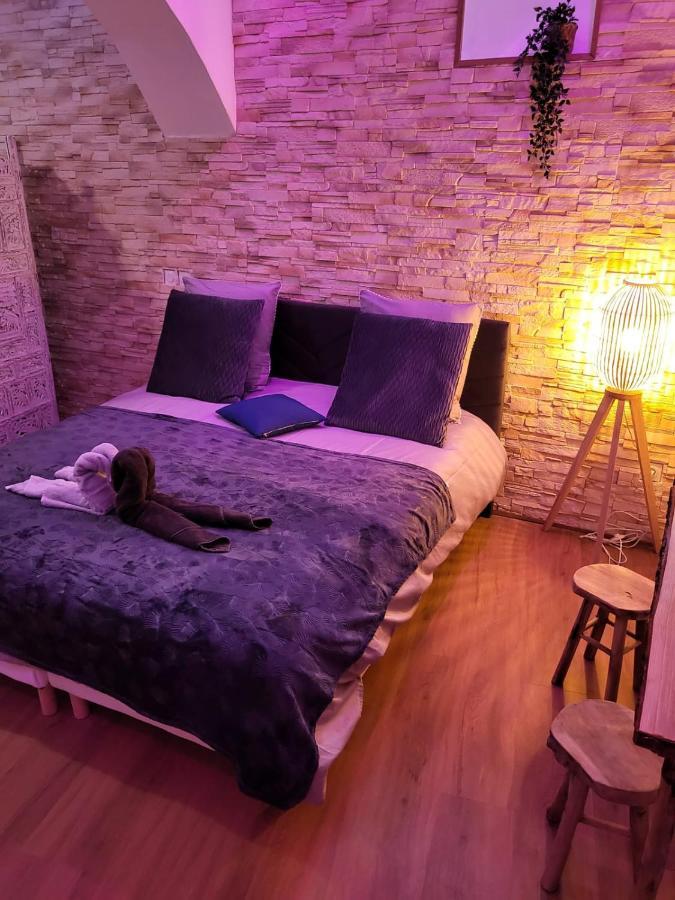 Le Spa De La Cathedrale - Jacuzzi - Sauna - Champagne - Netflix - Wifi Troyes Esterno foto
