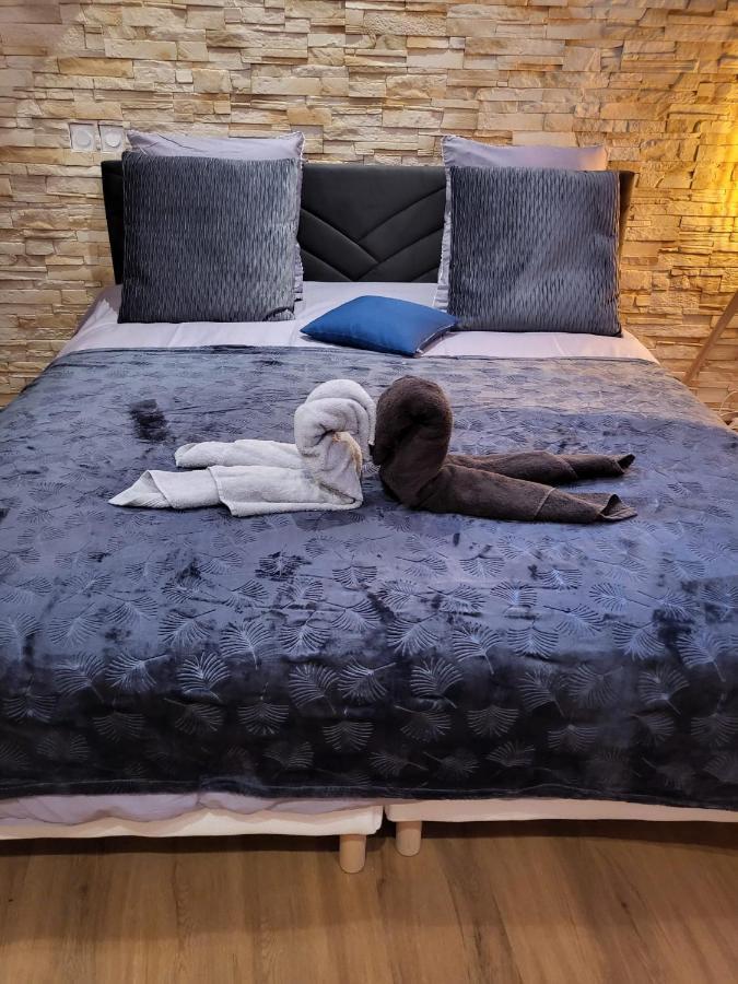 Le Spa De La Cathedrale - Jacuzzi - Sauna - Champagne - Netflix - Wifi Troyes Esterno foto