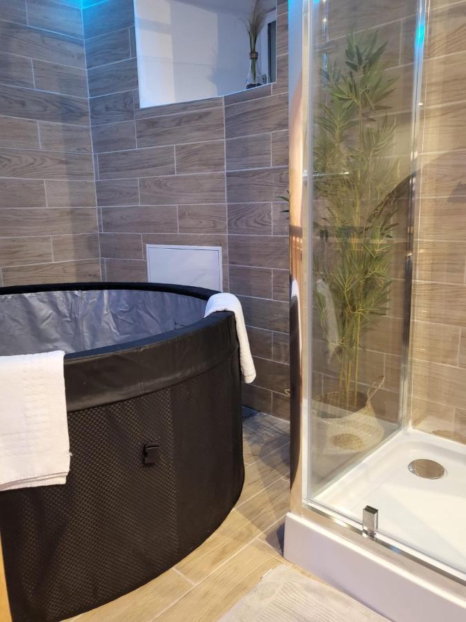 Le Spa De La Cathedrale - Jacuzzi - Sauna - Champagne - Netflix - Wifi Troyes Esterno foto