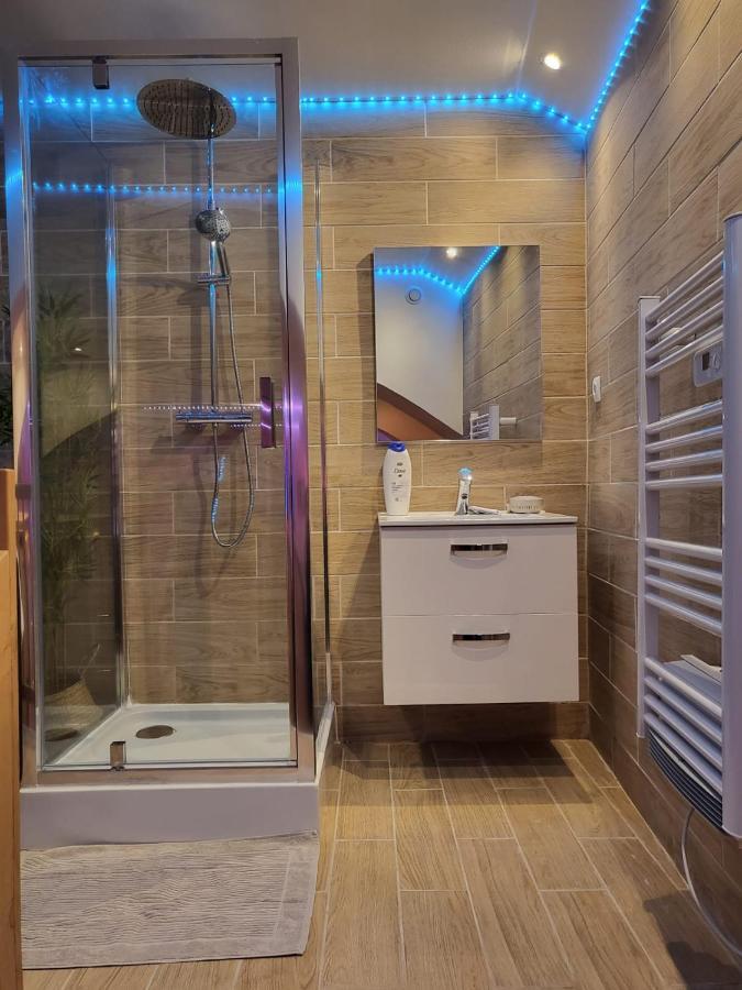 Le Spa De La Cathedrale - Jacuzzi - Sauna - Champagne - Netflix - Wifi Troyes Esterno foto
