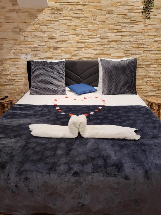 Le Spa De La Cathedrale - Jacuzzi - Sauna - Champagne - Netflix - Wifi Troyes Esterno foto